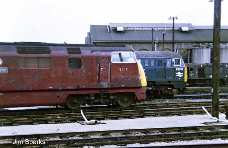 'Warship' D844 Spartan', North British 'Baby Warship' D6333, and our very own D4167 at Newton Abbot depot.brPhotographer Jim SparksbrDate taken 25081970