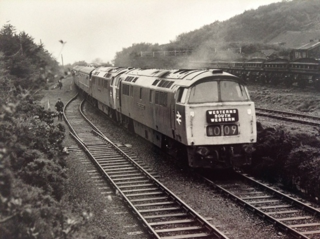 0820 Charter from Paddington 1Z08, arrives at Meldon Quarry worked by D1009 'Western Invader' and D1023 'Western Fusilier'. Note the empty side tipping 'Mermaid' ballast wagons a few of these survive on Heritage Railways.brPhotographer Grenville R. HounsellbrDate taken 30101976