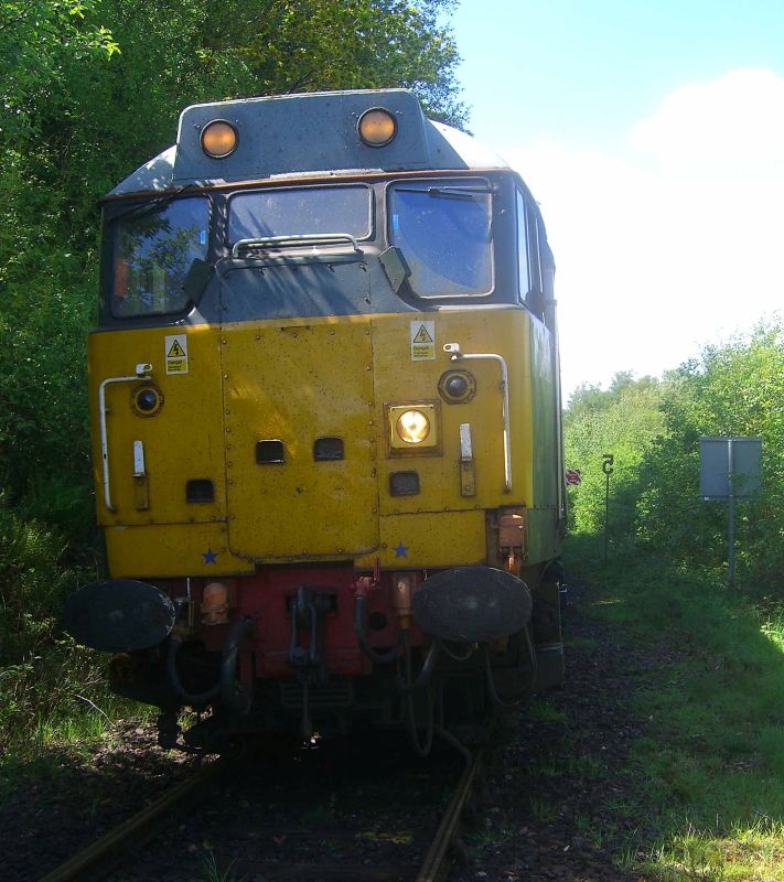 Unusual shot of 31452 taken at the groundframe south of Okehampton Station, whilst carrying out brake checks before departing for Derby. The rail grinder is out of sight behind the locomotive.