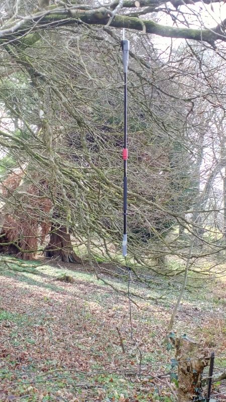 The station maintenance team's nice new pole saw stuck up a tree.brPhotographer Jon KelseybrDate taken 06042019