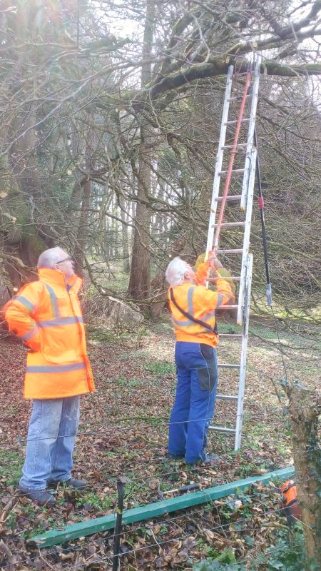 The team recovering the pole saw.brPhotographer Jon KelseybrDate taken 06042019