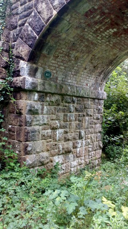 Just south of Meldon Viaduct is bridge 614, identified as such by the modern bridge plate. Much older is the stencilled mileage from Waterloo a few feet below.brPhotographer Jon KelseybrDate taken 25082019