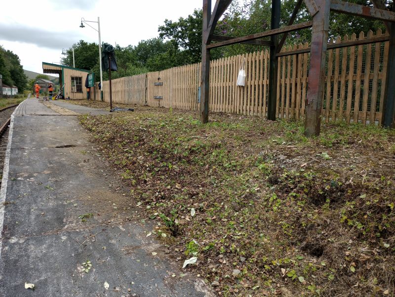 Plenty still to do, but the worst of the overgrowth has been removed.brPhotographer Jon KelseybrDate taken 05072023