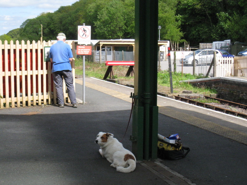 Tom Baxter attaching a photo of the old turntable and loco shed to the fence at the end of the up platform. This must be very close to where the photo was originally taken from.brPhotographer John CaesarbrDate taken 01062013