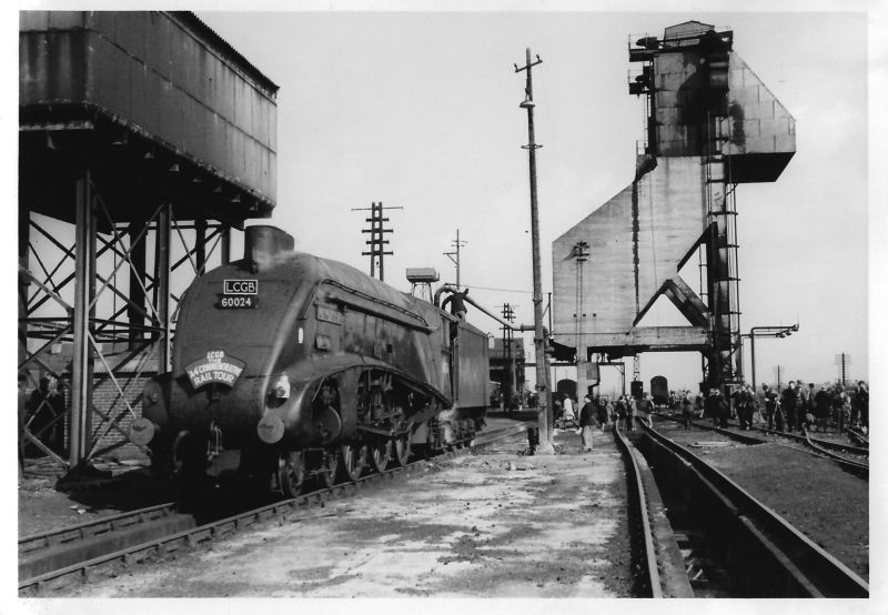 Ex LNER A4 60024 'Kingfisher' on the coal drop pits at 83D Exmouth Junction 270366 P2022.0001.41brPhotographer Colin Wreyford