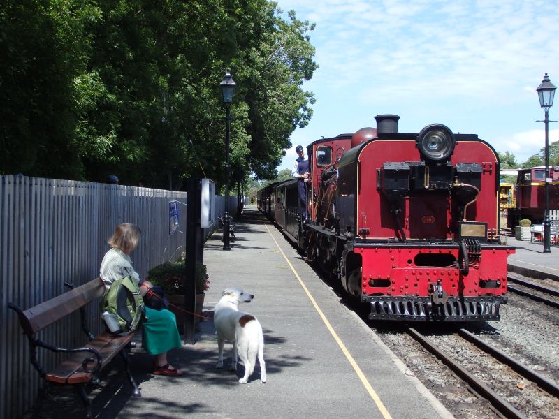 Welsh Highland Railway Class NGG16 Garratt no. 138 arrives at Dinas with 14.15 Caernarfon to Porthmadog. Waiting passengers look familiar? 