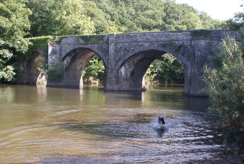 The 15th Century Rothern Bridge 100 yards from Torrington Station