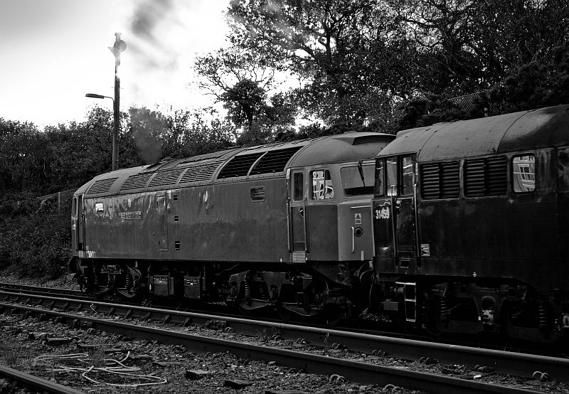 47375 'Tinsley Traction Depot' and 31459 'Cerberus' at Meldon