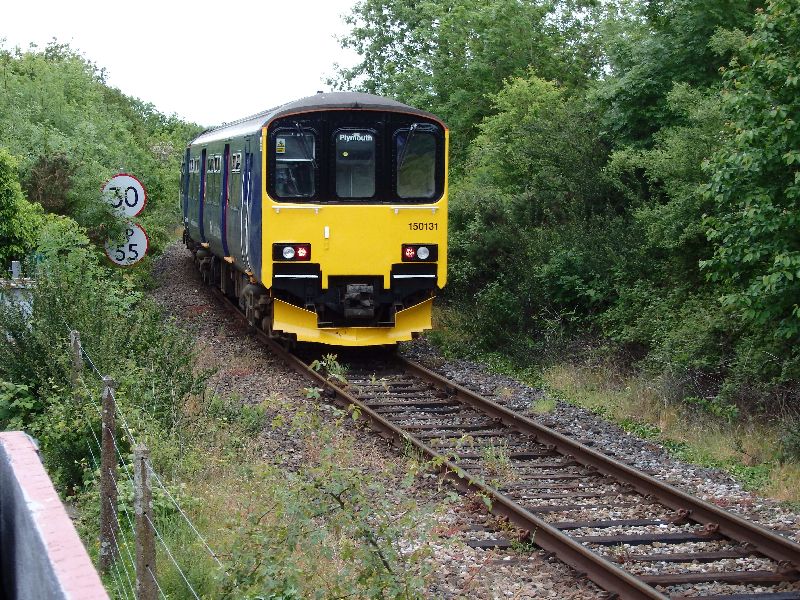 We're not the only ones with vegetation clearance problems.brPhotographer Tom BaxterbrDate taken 30052015