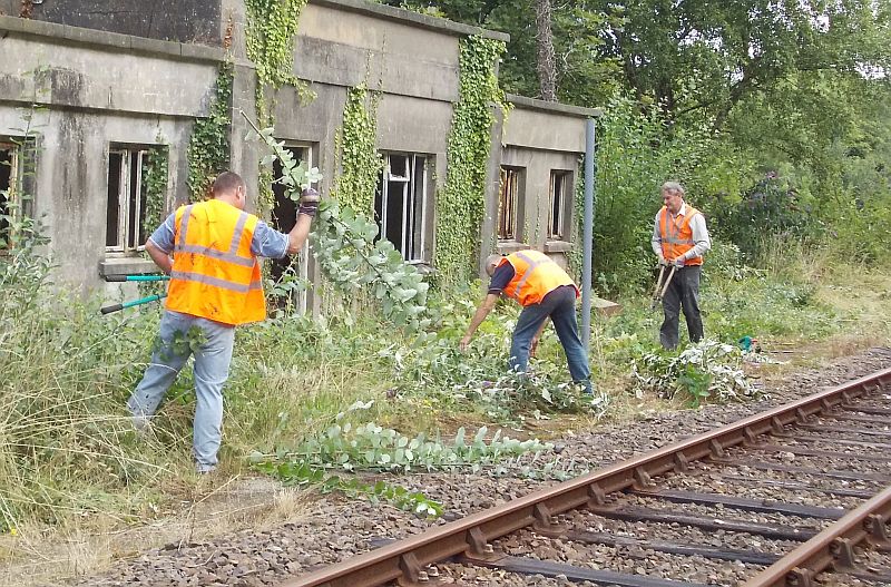 Dan Roche, Geoff Brooks and Andrew Turner attacking the undergrowth south of Okehampton station.brPhotographer Jon KelseybrDate taken 31082013